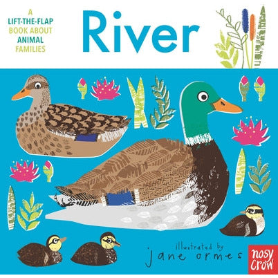 Animal Families: River by Nosy Crow