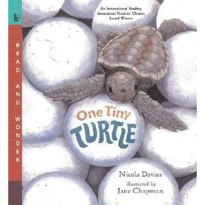 One Tiny Turtle: Read and Wonder by Nicola Davies