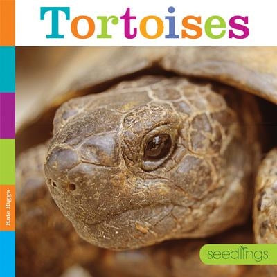 Tortoises by Kate Riggs