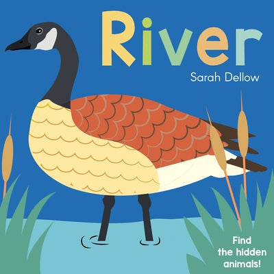 Now You See It! River by Sarah Dellow