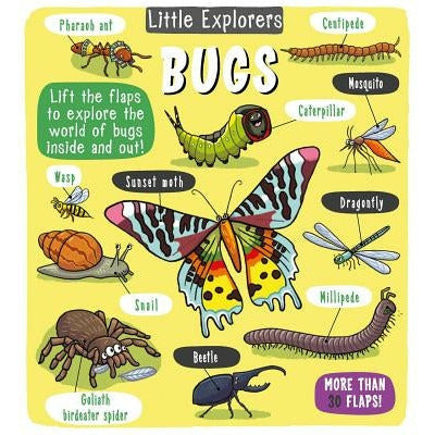Little Explorers: Bugs by Little Bee Books