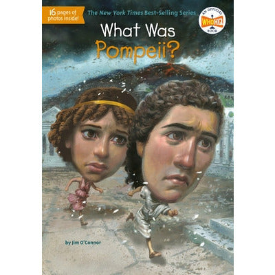 What Was Pompeii? by Jim O'Connor