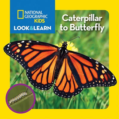 National Geographic Kids Look and Learn: Caterpillar to Butterfly by National Kids