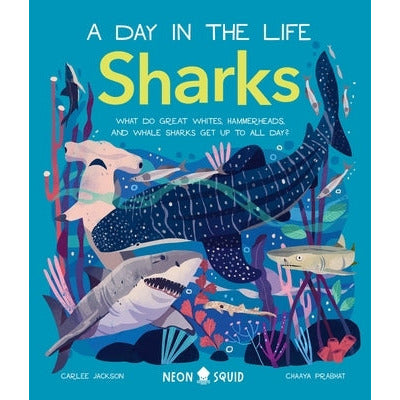 Sharks (a Day in the Life): What Do Great Whites, Hammerheads, and Whale Sharks Get Up to All Day? by Carlee Jackson