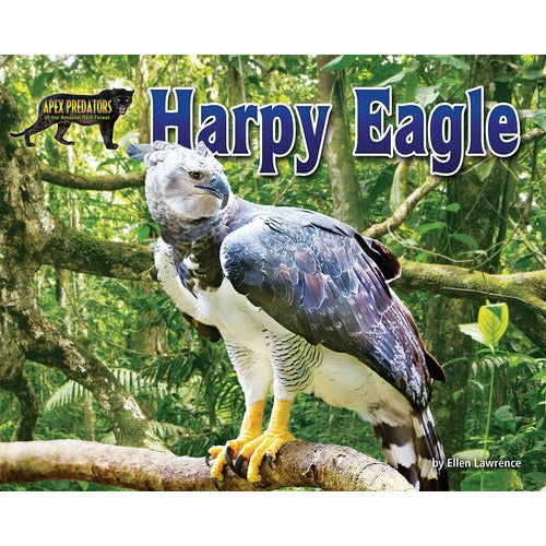 Harpy Eagle by Ellen Lawrence