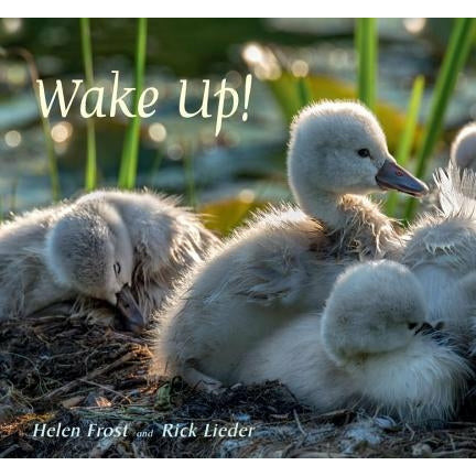 Wake Up! by Helen Frost