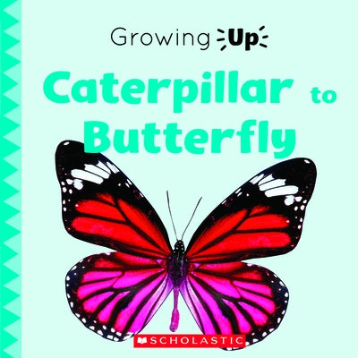 Caterpillar to Butterfly (Growing Up) (Library Edition) by Stephanie Fitzgerald
