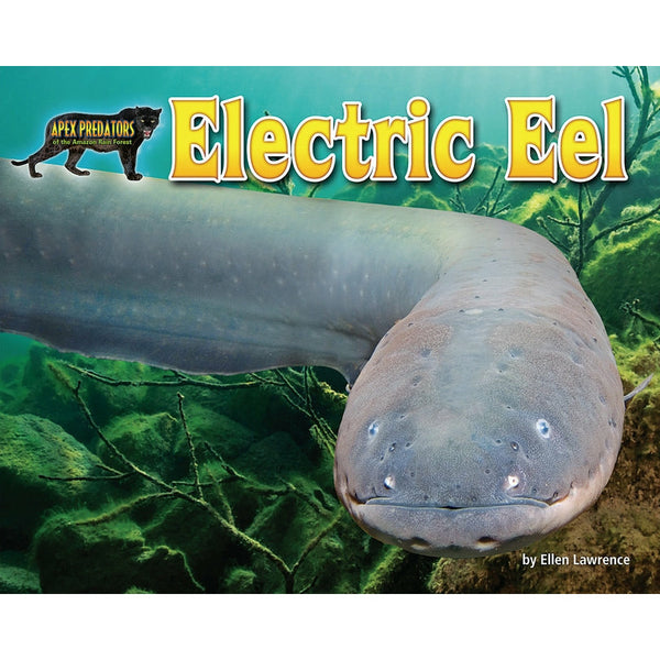 Electric Eel by Ellen Lawrence