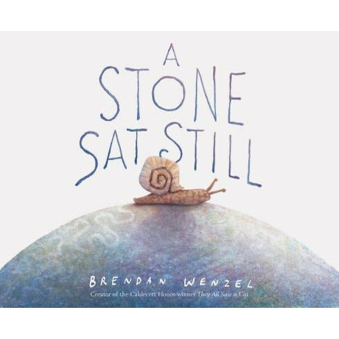 A Stone SAT Still by Brendan Wenzel