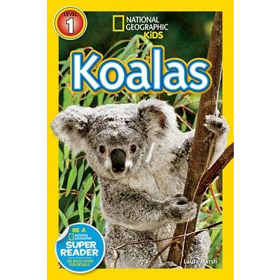 Koalas by Laura Marsh