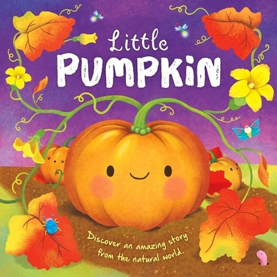 Nature Stories: Little Pumpkin: Padded Board Book by Igloobooks