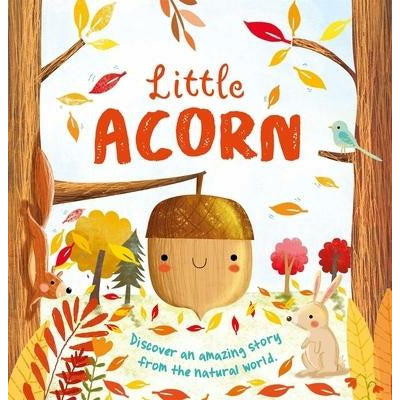Nature Stories: Little Acorn: Padded Board Book by Igloobooks