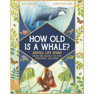 How Old Is a Whale?: Animal Life Spans from the Mayfly to the Immortal Jellyfish by Lily Murray