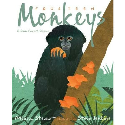 Fourteen Monkeys: A Rain Forest Rhyme by Melissa Stewart