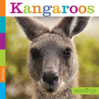Kangaroos by Kate Riggs