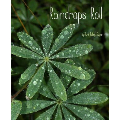 Raindrops Roll by April Pulley Sayre