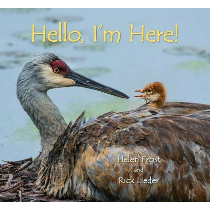 Hello, I'm Here! by Helen Frost