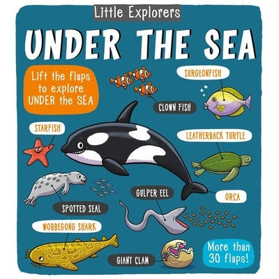 Little Explorers: Under the Sea by Little Bee Books
