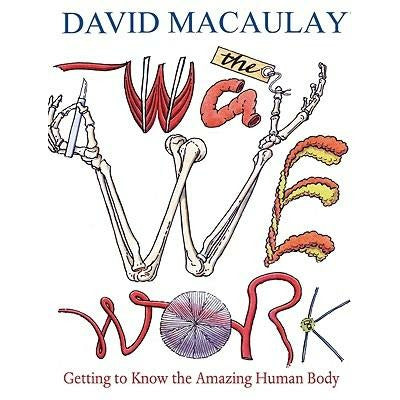 The Way We Work: Getting to Know the Amazing Human Body by David Macaulay