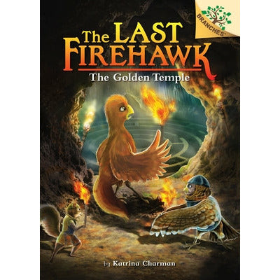 The Secret Maze: A Branches Book (the Last Firehawk #10) (Library Edition): Volume 10 by Katrina Charman