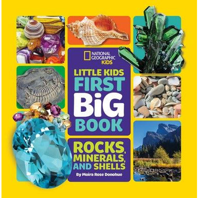 Little Kids First Big Book of Rocks, Minerals & Shells by Moira Donohue