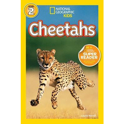 Cheetahs by Laura Marsh