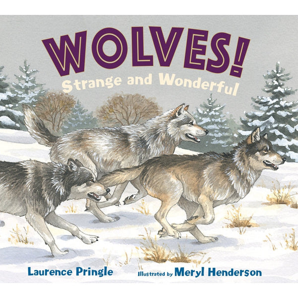 Wolves! Strange and Wonderful by Laurence Pringle