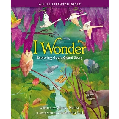 I Wonder: Exploring God's Grand Story: An Illustrated Bible by Glenys Nellist