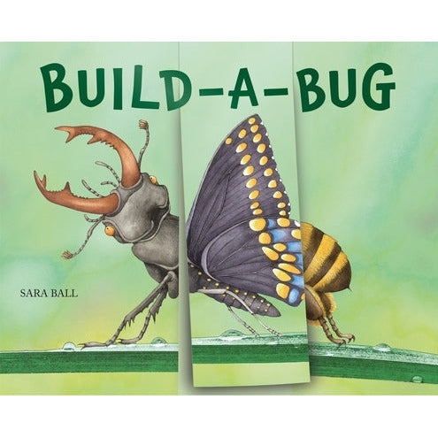 Build-A-Bug by Sara Ball