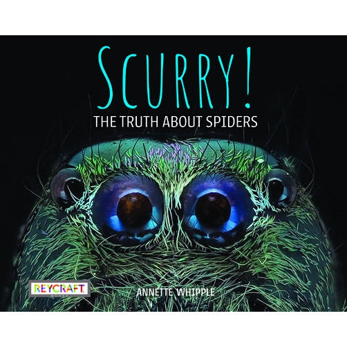 Scurry! the Truth about Spiders by Annette Whipple