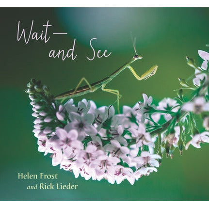 Wait and See by Helen Frost