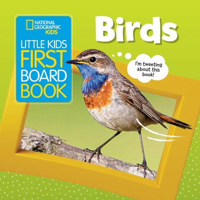 Little Kids First Board Book: Birds by Ruth Musgrave