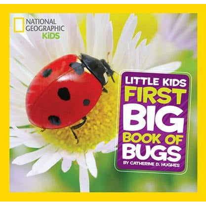 Little Kids First Big Book of Bugs by Catherine Hughes
