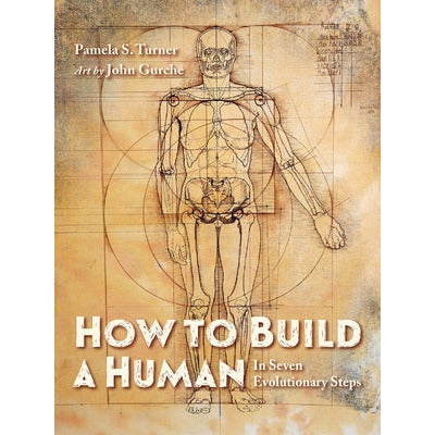 How to Build a Human: In Seven Evolutionary Steps by Pamela S. Turner