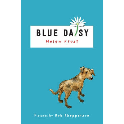 Blue Daisy by Helen Frost